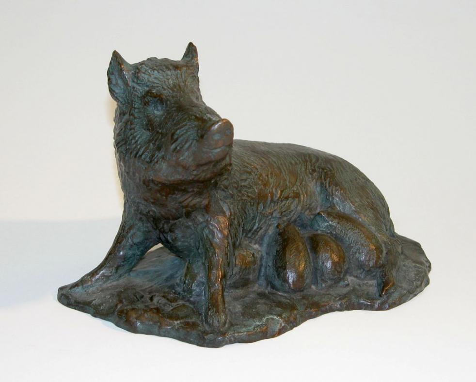 Wild Boar Loch Gallery